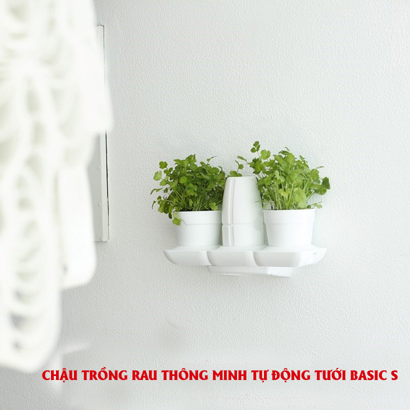 BỘ CHẬU TRỒNG RAU THÔNG MINH TỰ ĐỘNG TƯỚI trong vòng 2 tháng BASIC S, sử dụng 10 năm