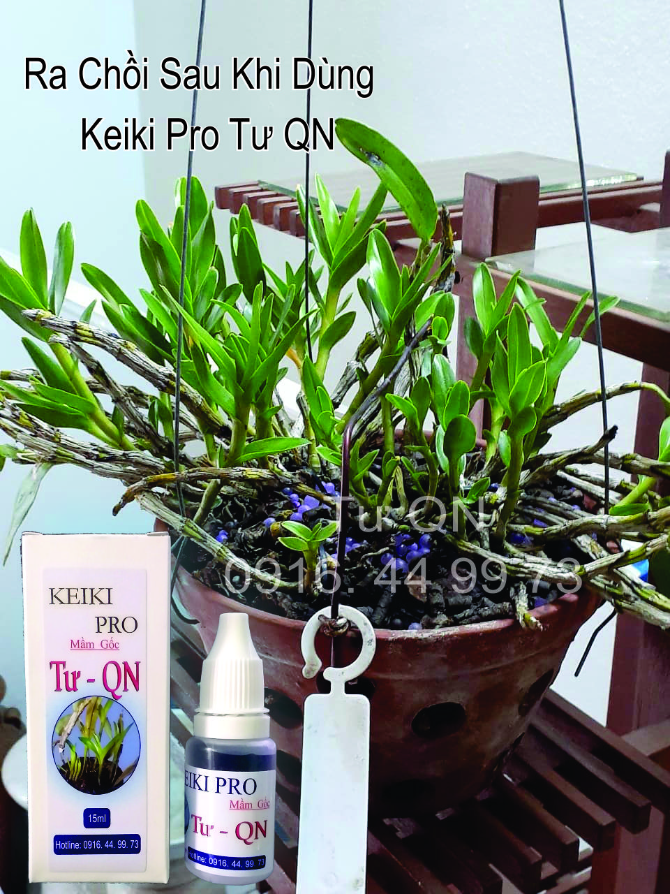 KeikiPro Chuyên Mầm Gốc - Tư QN - Đạt Hiệu Quả Cao