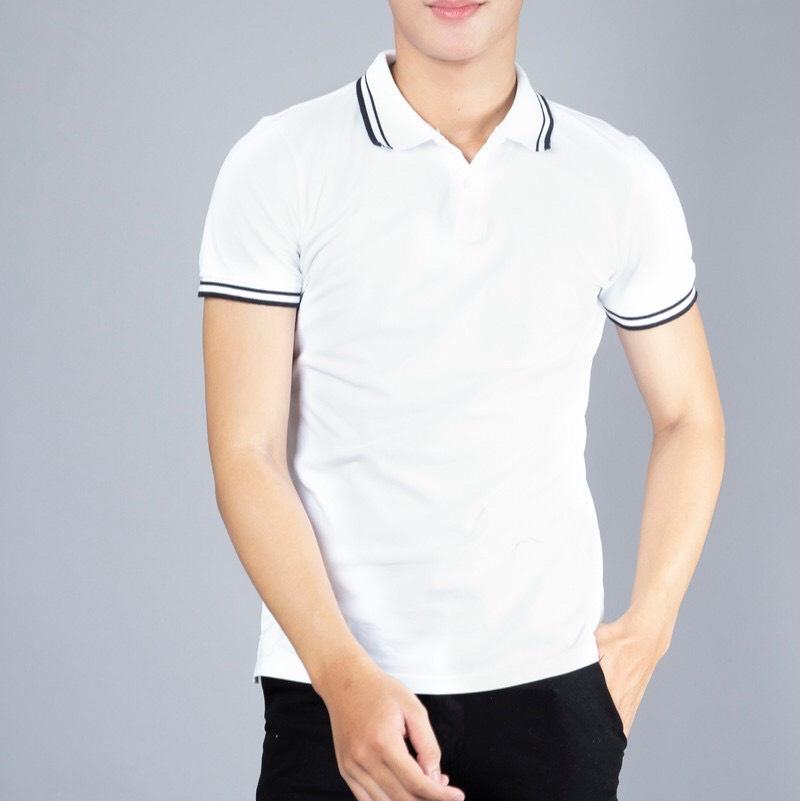 Combo 2 Áo Thun Có Cổ vải Cá Sấu Mè Cao Cấp Có Viền Mặc Rất Năng Động