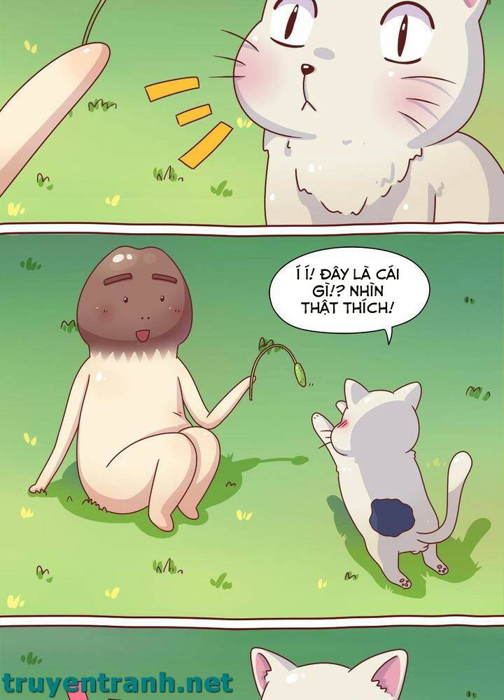 cây nấm kì khả chapter 7 10