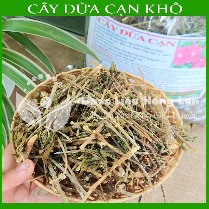 Cây Dừa Cạn khô sạch đóng gói 1kg
