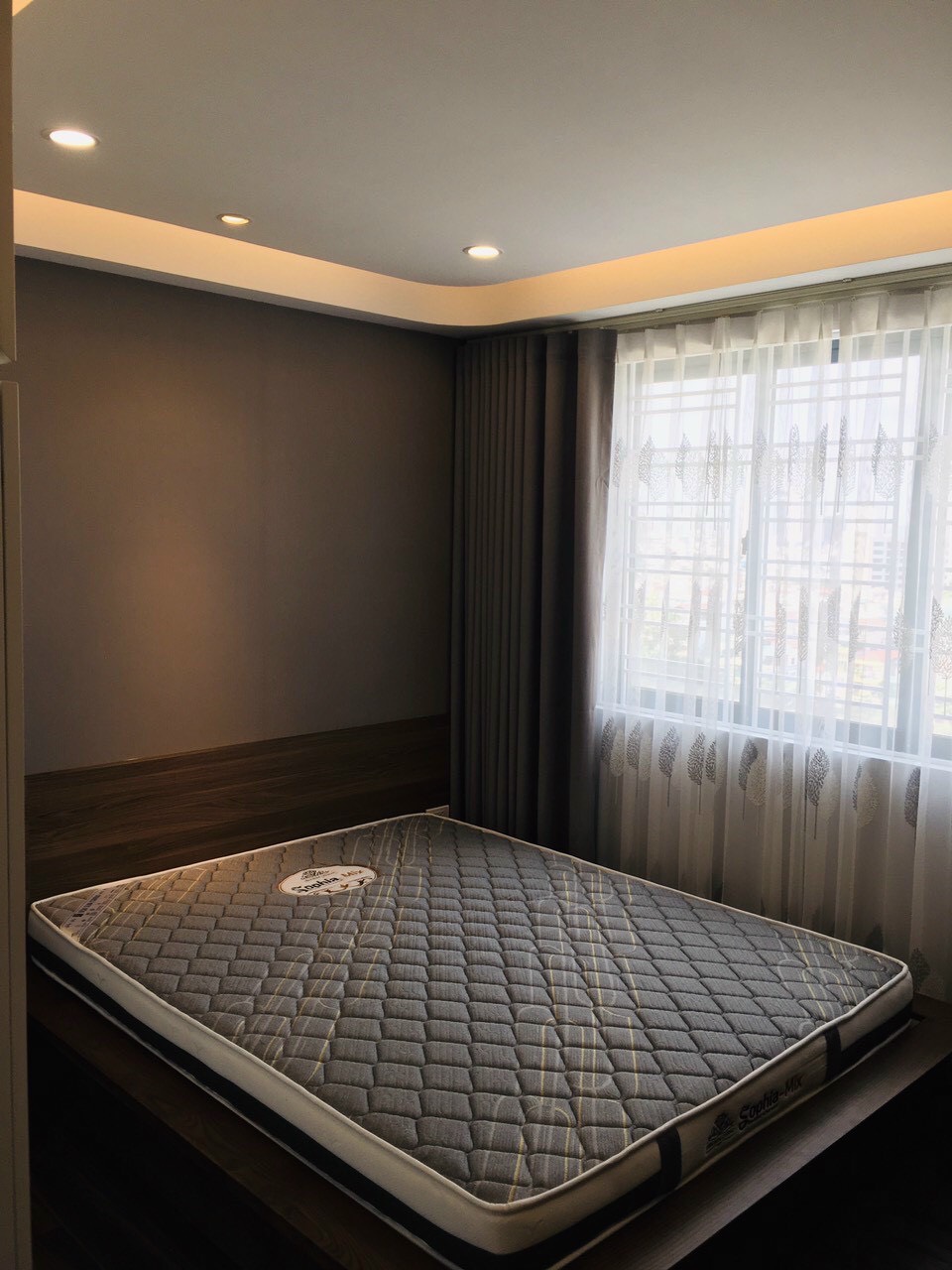ĐỆM CAO SU NON PLATINUM KIM CƯƠNG Rẻ Nhất Sàn