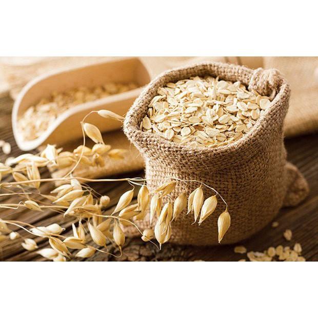 Hạt giống Cỏ Mèo - Gói 2kg - Cỏ Tươi cho Chó, Mèo, Thú Cưng - Cỏ Yến Mạch Cho Chăn Nuôi Gia Súc