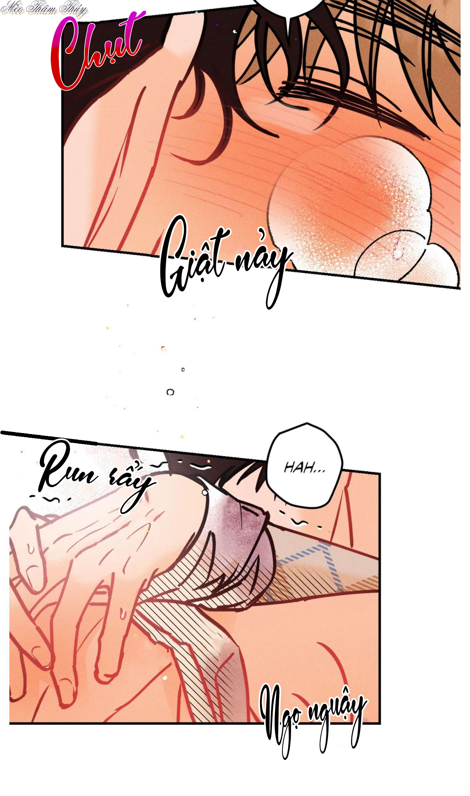 punk dunk funk chapter 41 46