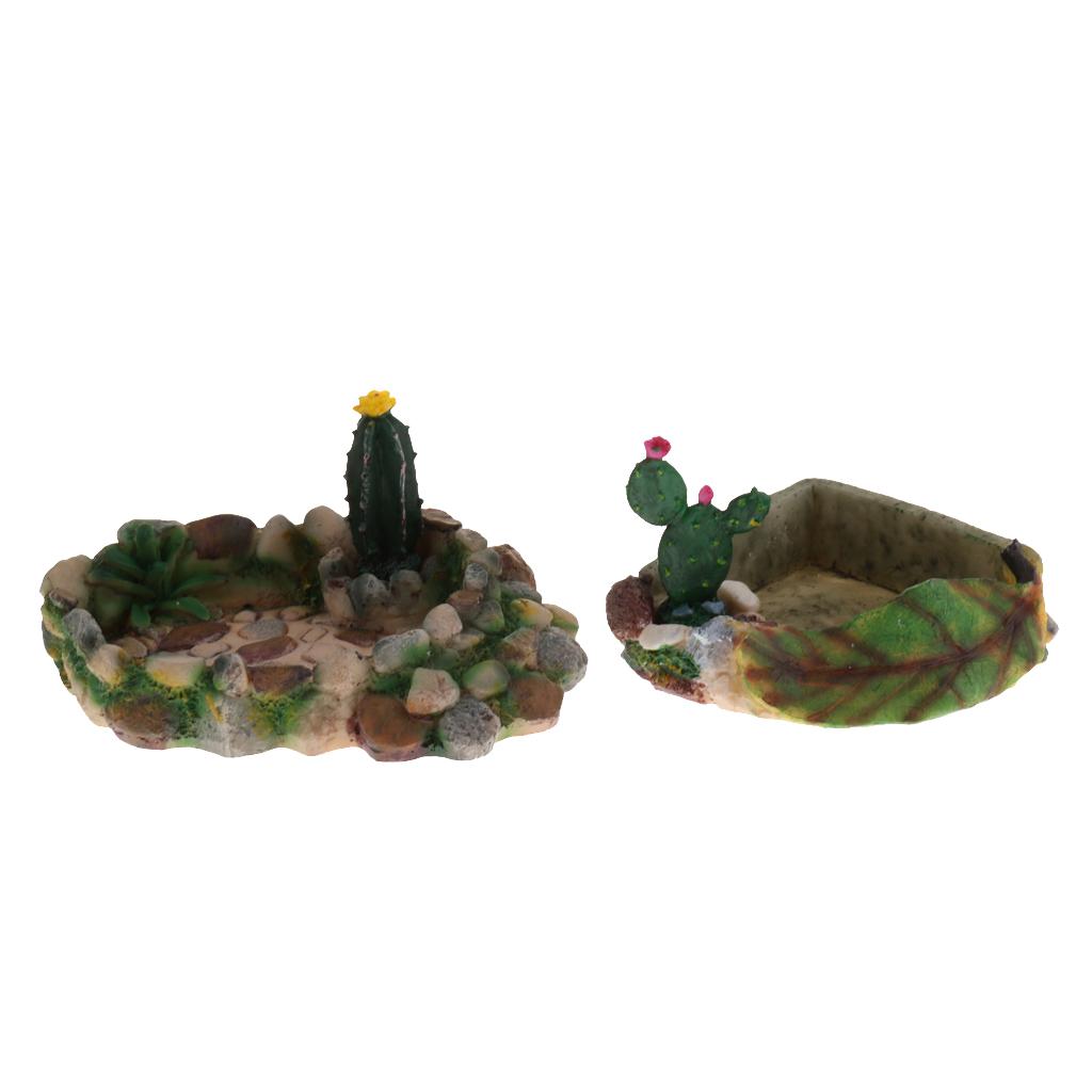 Reptile Food Water Dish Vivarium Decoration