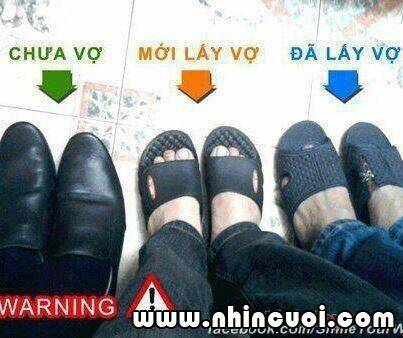 hình ảnh hài hước new chapter 6 6