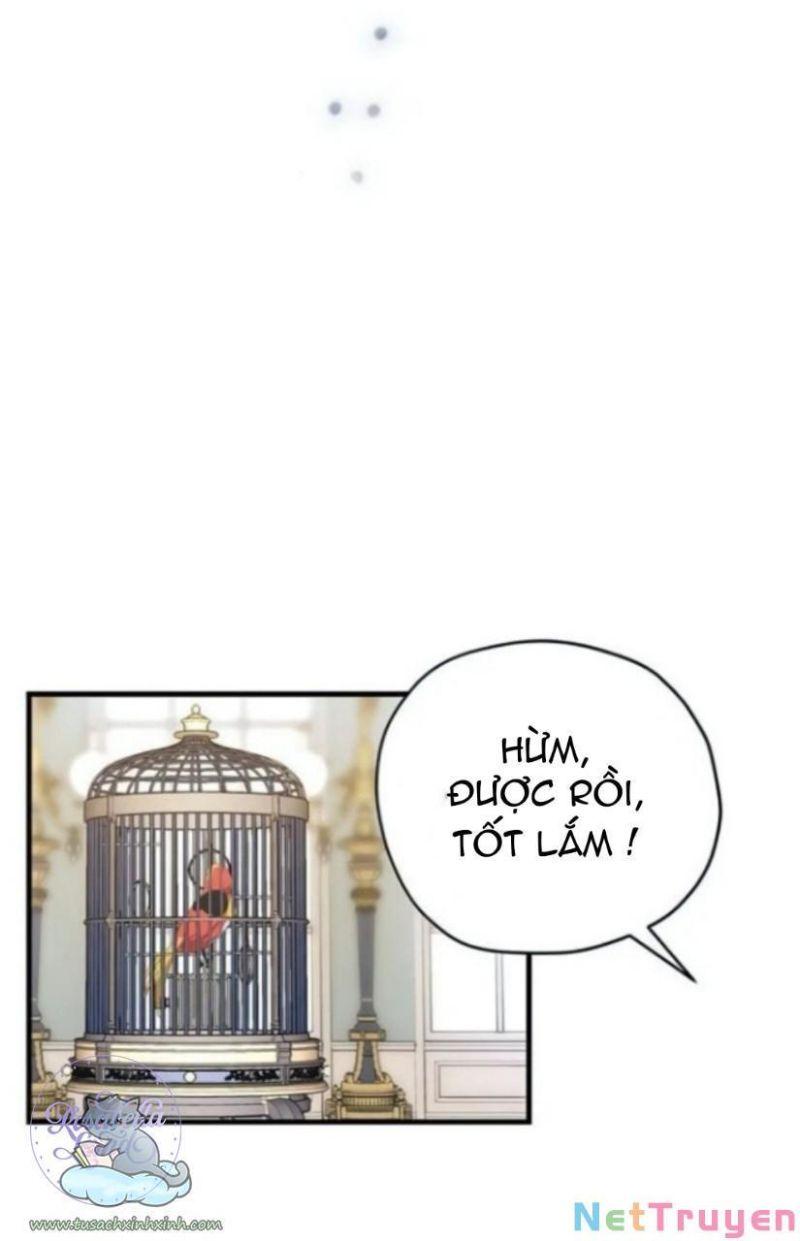 xin hãy cứ khóc, thái tử chapter 1 45