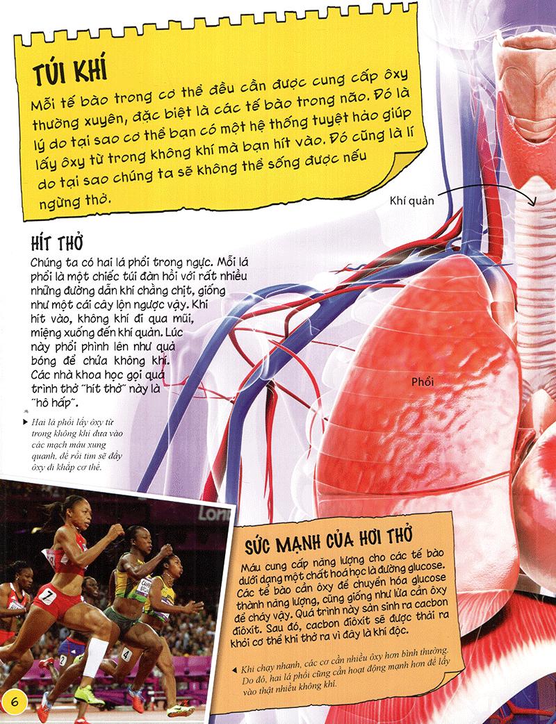 Sách Tìm Hiểu Về: Cơ Thể Người