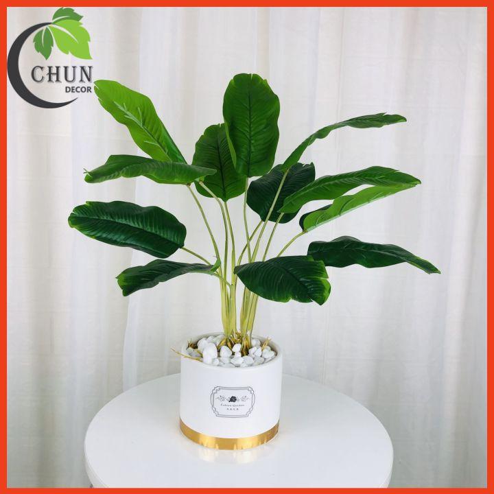 Chậu Cây Nhân Tạo Để Bàn Trang Trí Nhiều Mẫu