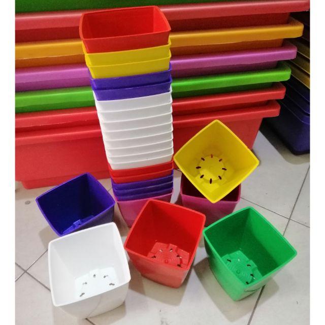 Combo 10 chậu vuông 12cm