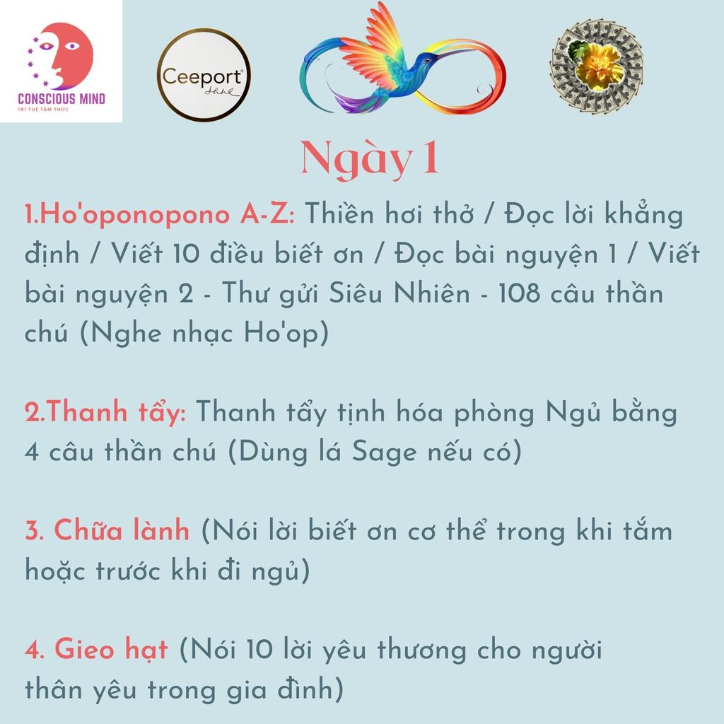 Bộ thẻ thực hành (21 thẻ) - Tặng kèm 4 Logo thanh tẩy &amp; 2 tấm séc nhiệm màu