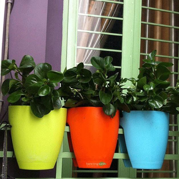 Chậu hoa treo lan can cao cấp