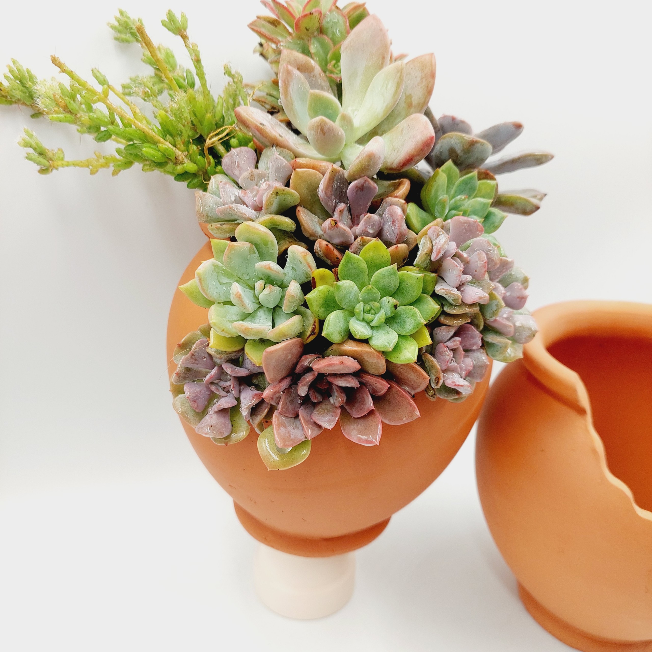 Chậu đất nung, chậu sen đá - Chum 1014, miệng chậu 10cm, chiều cao 14cm