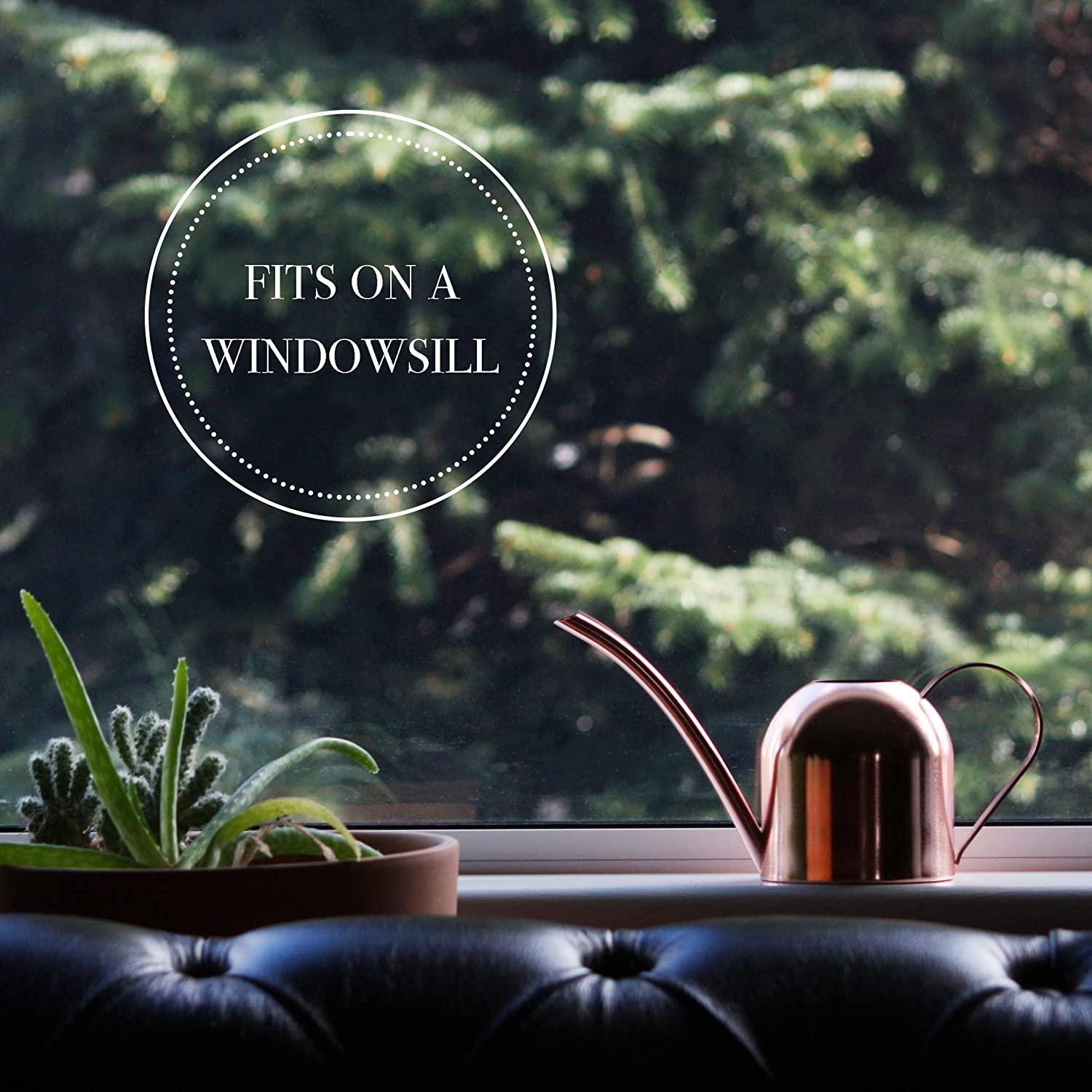 Bình phun bằng thép không gỉ nhỏ cho thực vật trong nhà như cây nhiều thịt