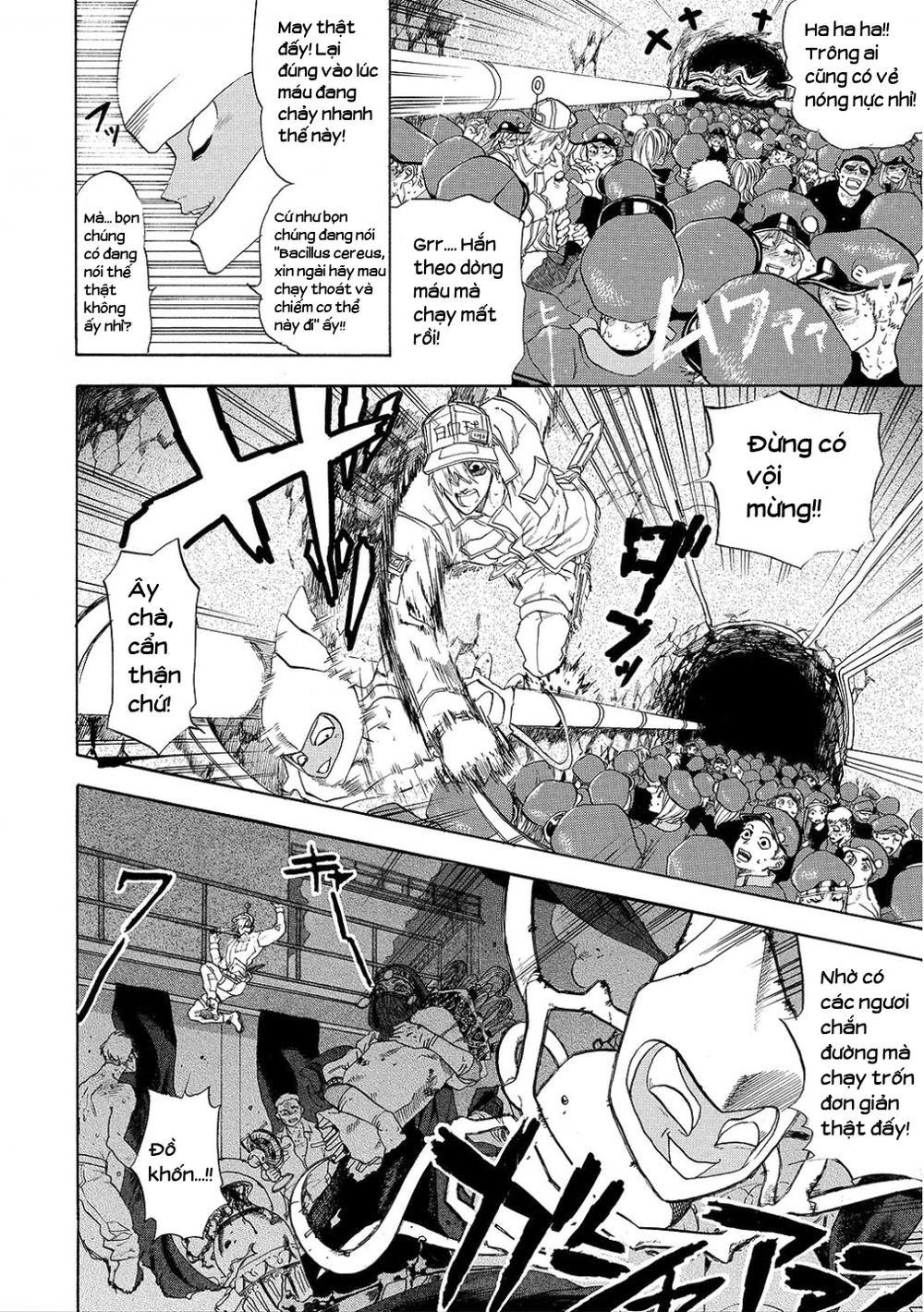hataraku saibou! chapter 6 15