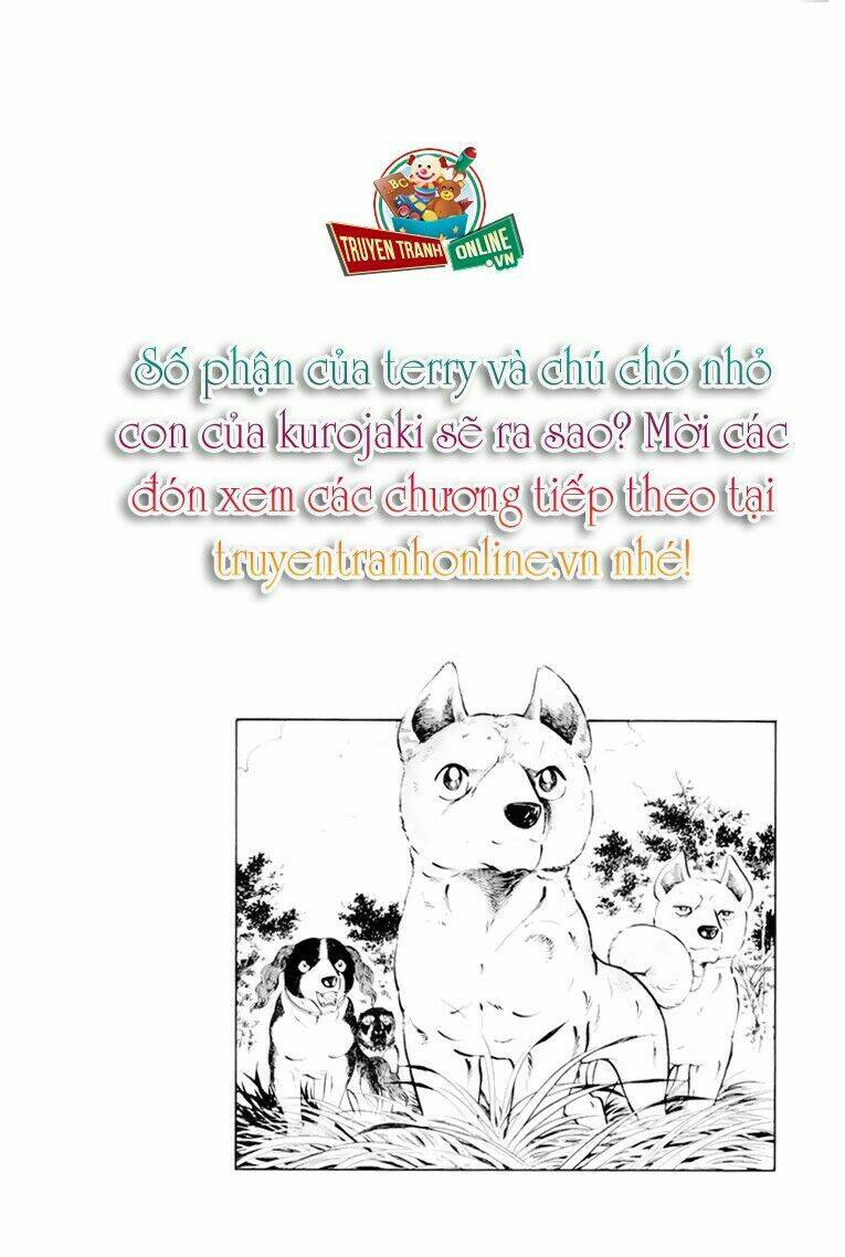 chú chó có nghĩa - ginga nagareboshi gin chapter 31 46