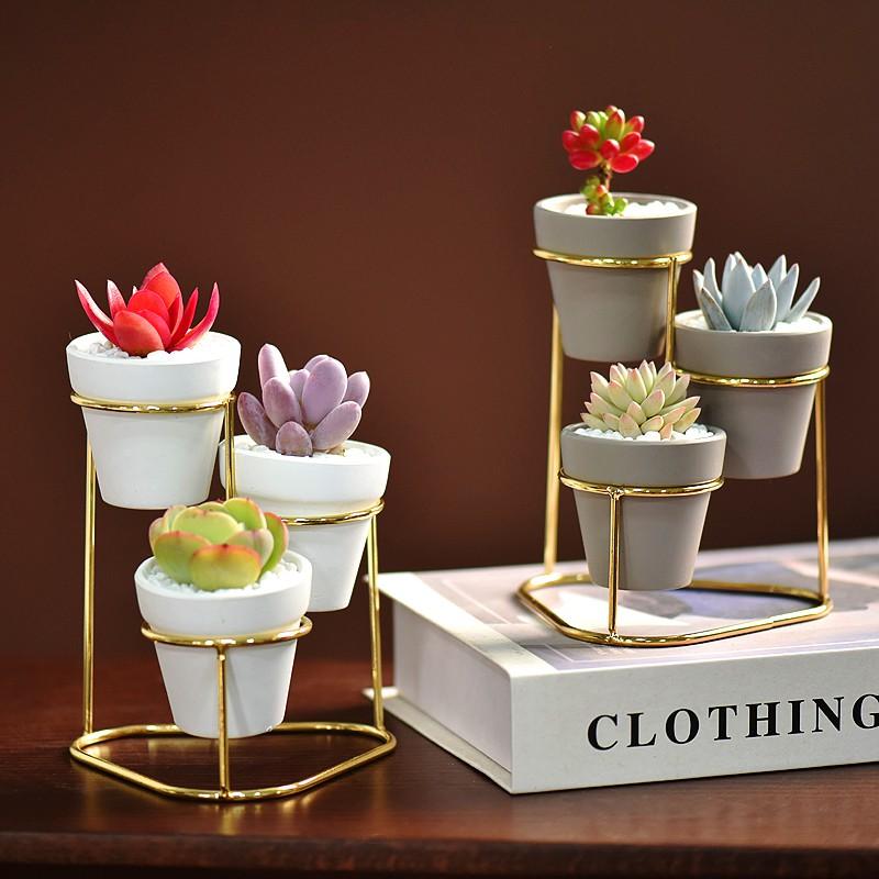 Chậu Cây Cảnh Bằng Sắt Trang Trí Nội Thất