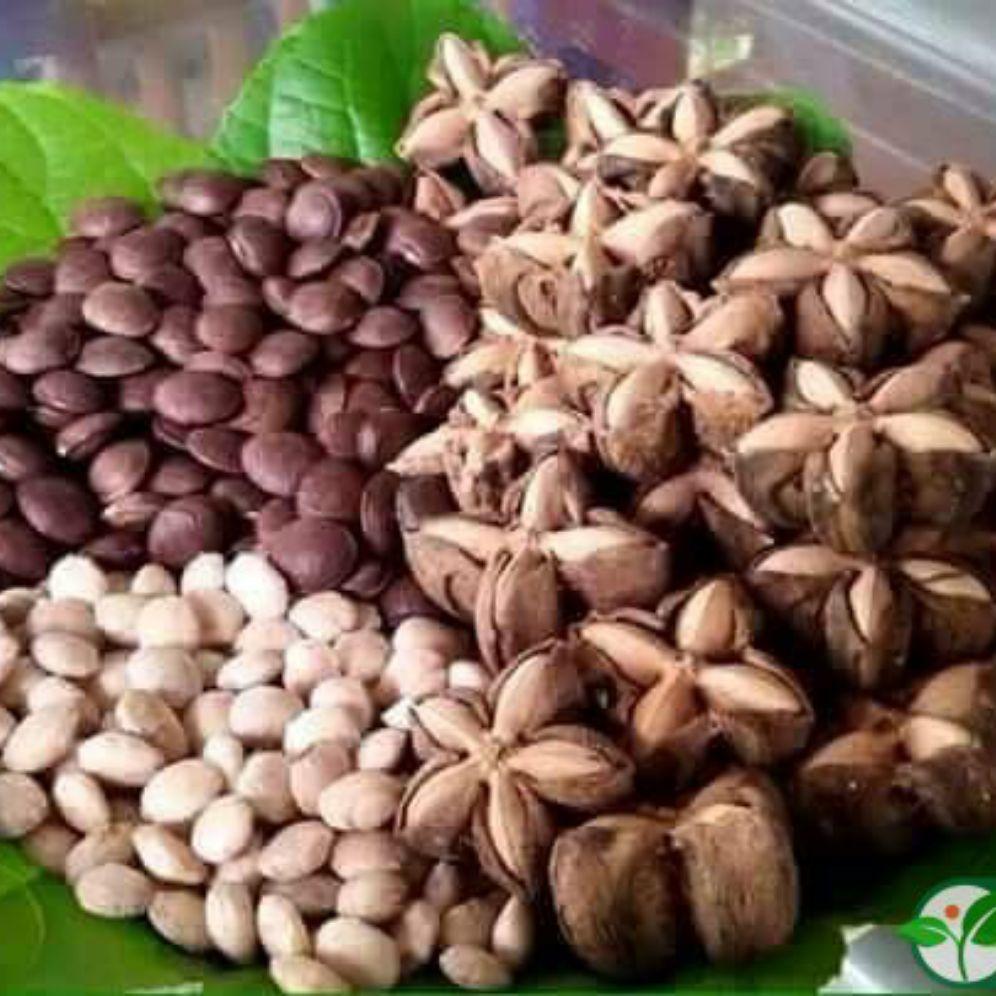 Hạt sachi tuyển chọn