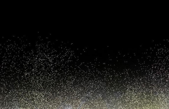 cô dâu của obsidian chapter 3.1 24