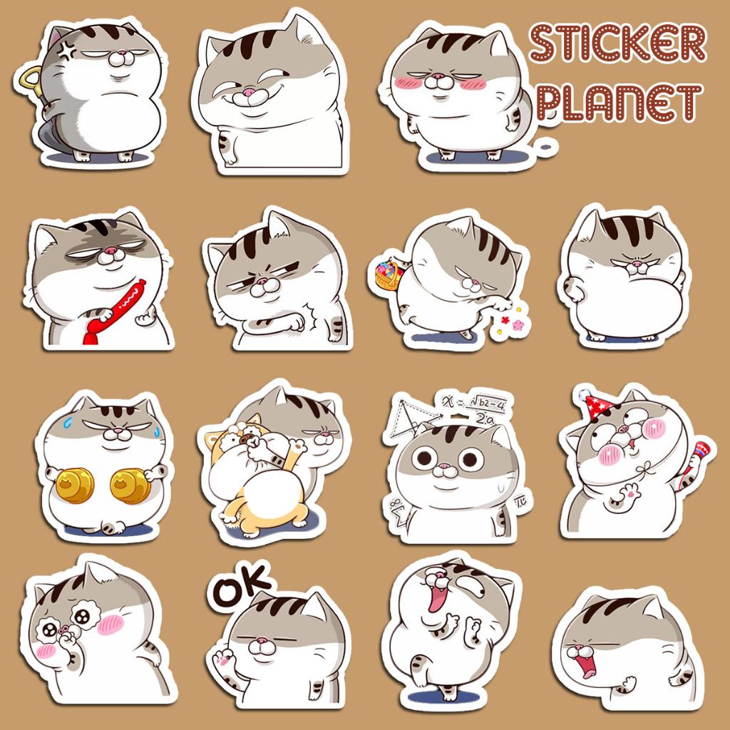 23 Mèo bụng bự ý tưởng  mèo mèo ú pusheen mèo ú