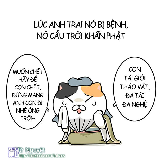 nếu lịch sử là một bầy mèo chapter 12 14