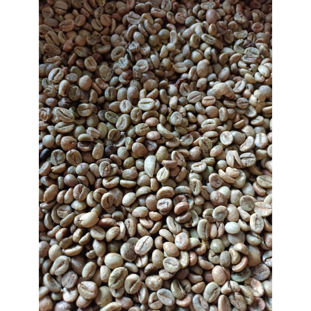 CÀ PHÊ NHÂN ROBUSTA S14 S16