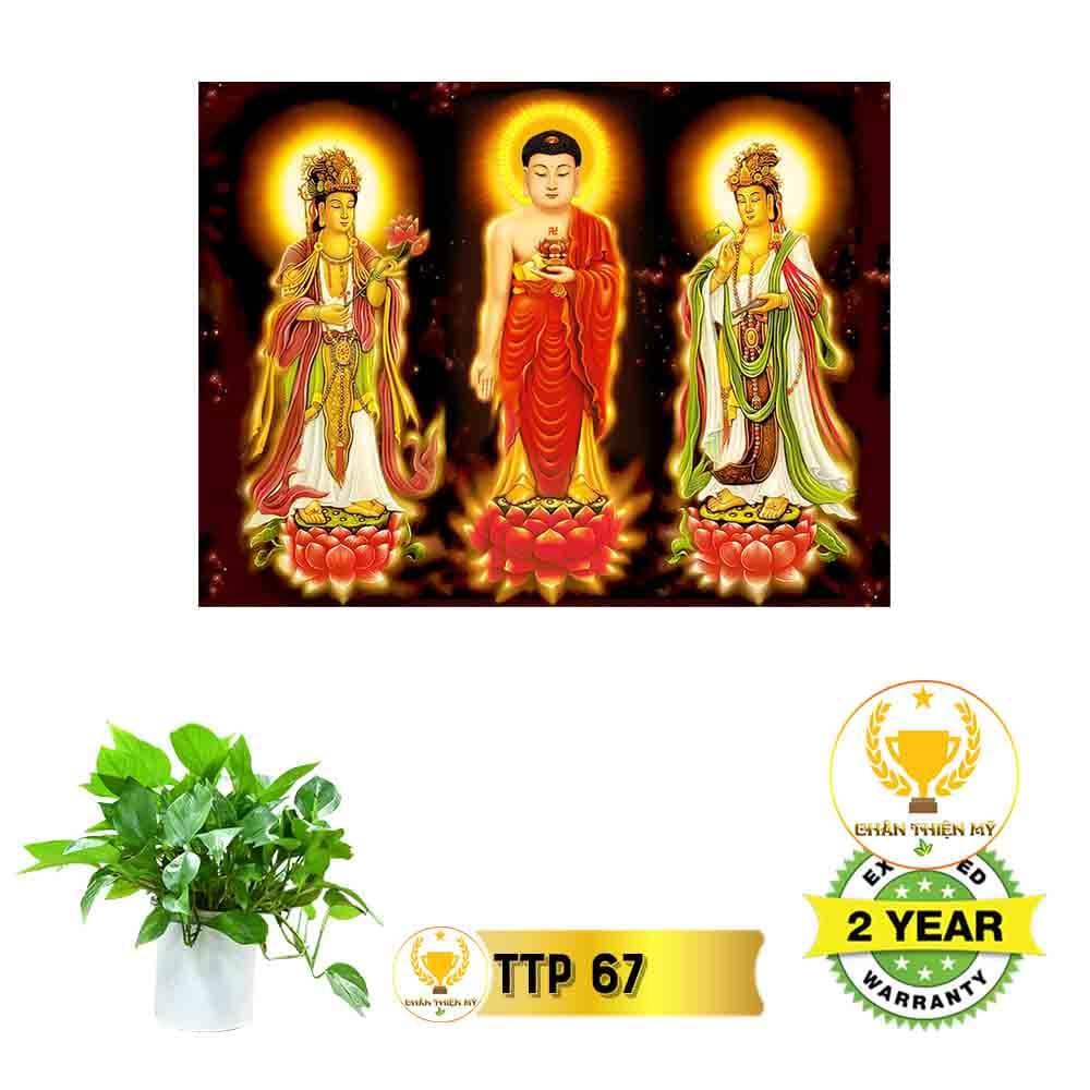Tranh điện Tam Thế Phật_TTP7