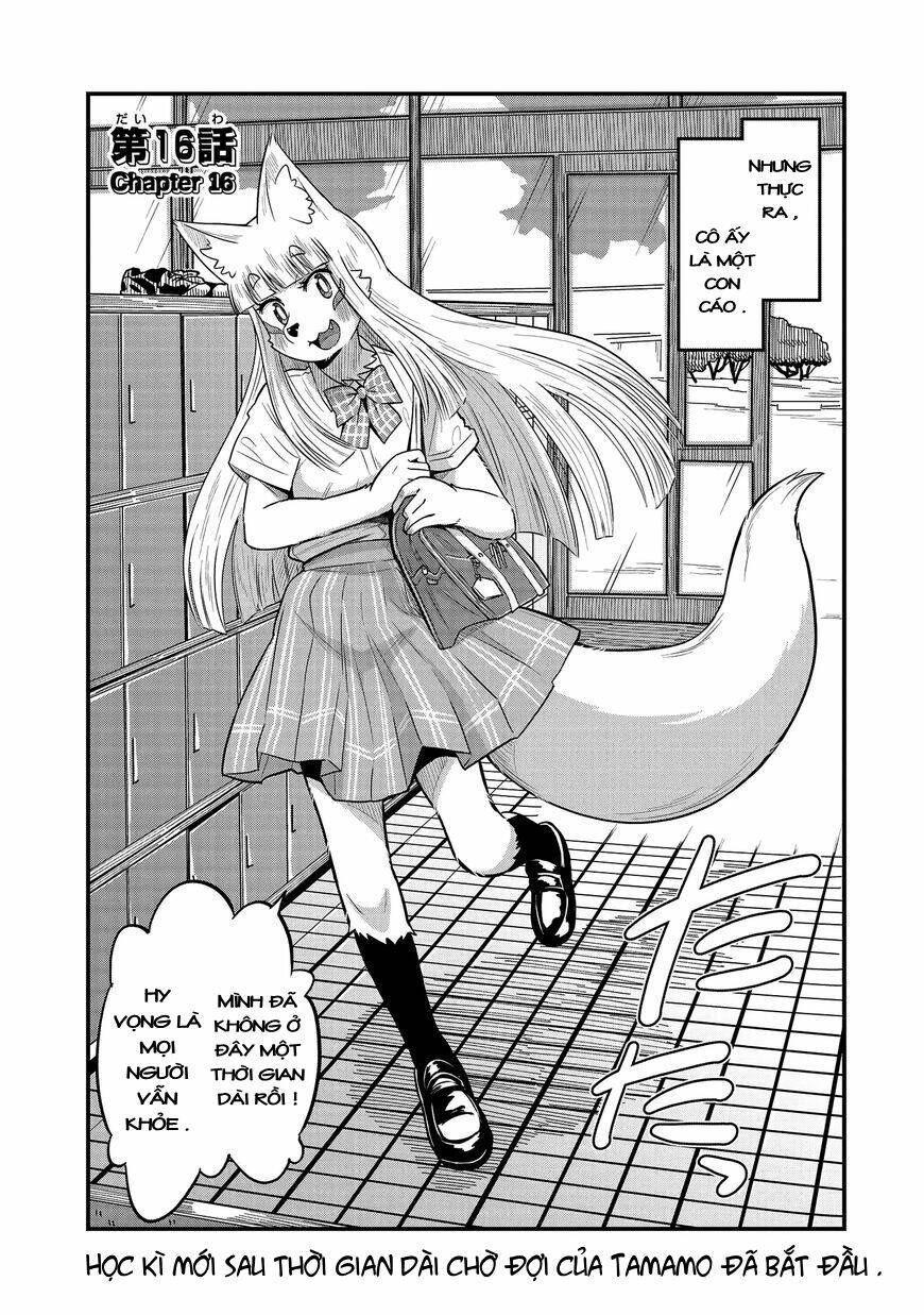 high school inari tamamo-chan ! chapter 16 6