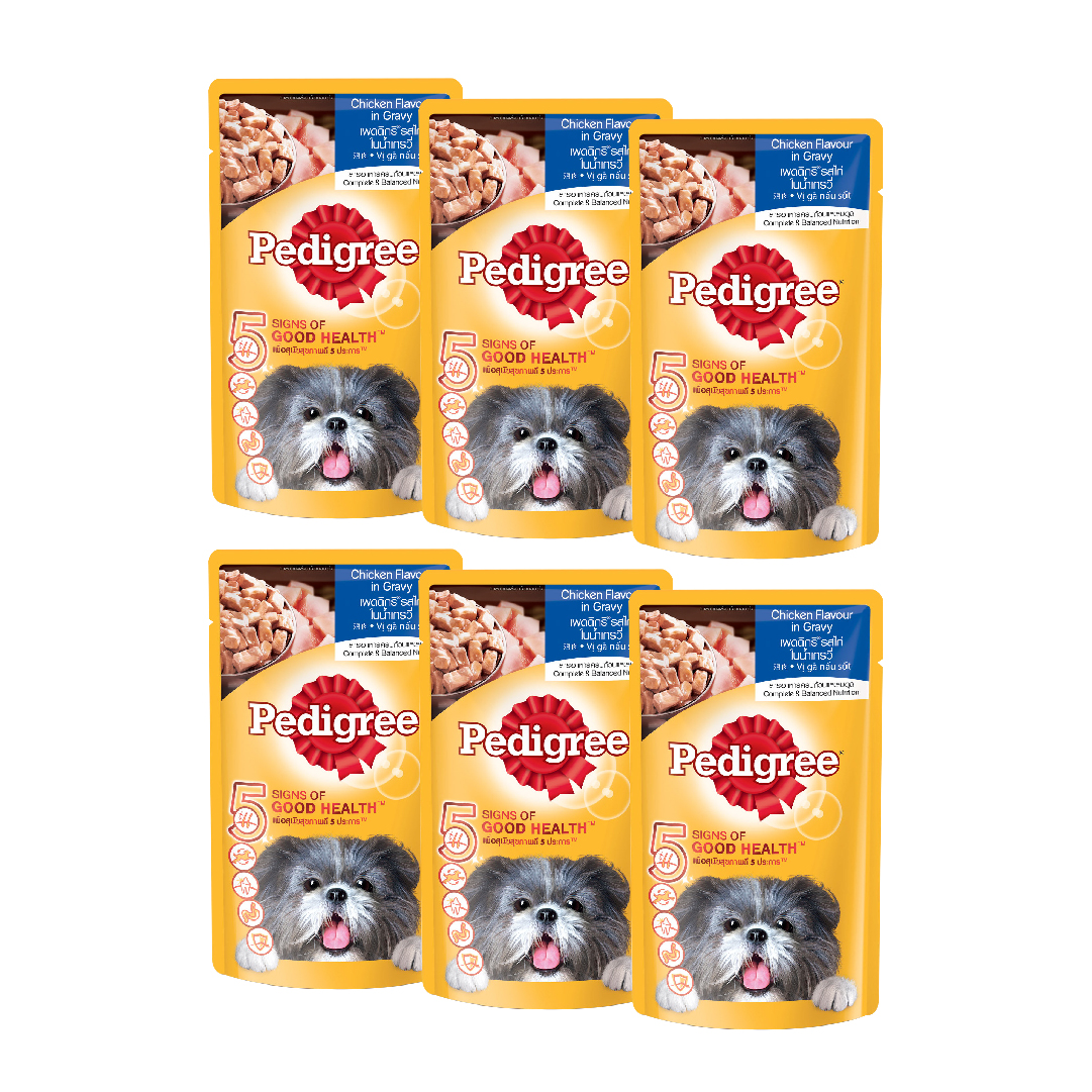 Bộ 6 túi thức ăn cho chó lớn dạng sốt Pedigree vị gà 130g