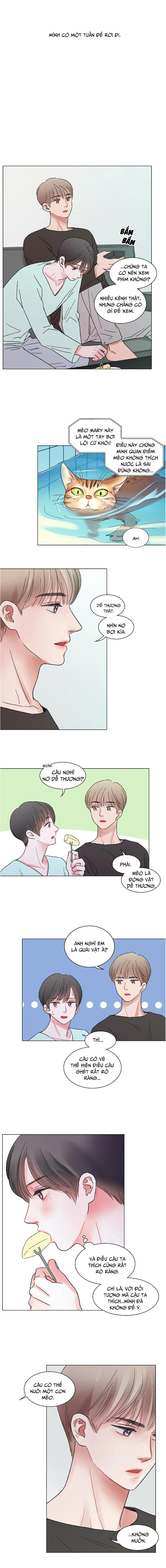 người cùng nhà chapter 29 2