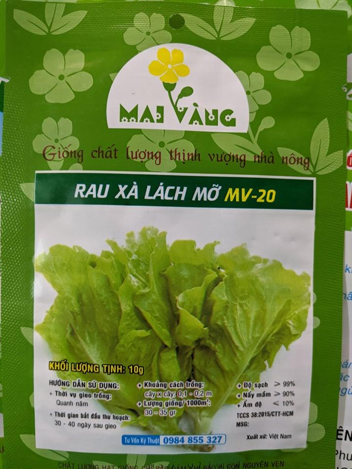 Combo 10 gói hạt giống rau ăn lá phổ biến trồng thủy canh - 10 loại khác nhau như hình (chat với shop nếu muốn chọn)