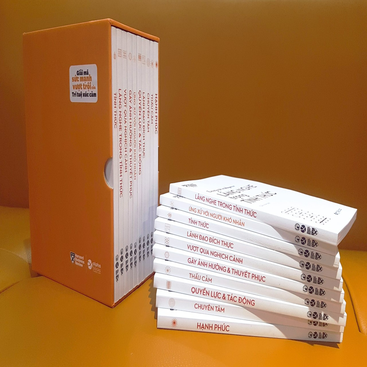 Sách - HBR Trí Tuệ Xúc Cảm – Emotional Intelligence (Bộ 10 Cuốn)