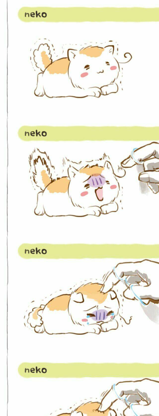 aph short dou chapter 60 1