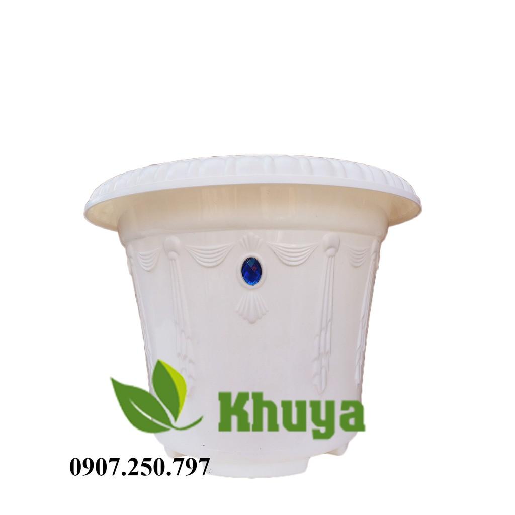 Chậu Ngọc trồng cây 28x21cm Trắng và Đỏ