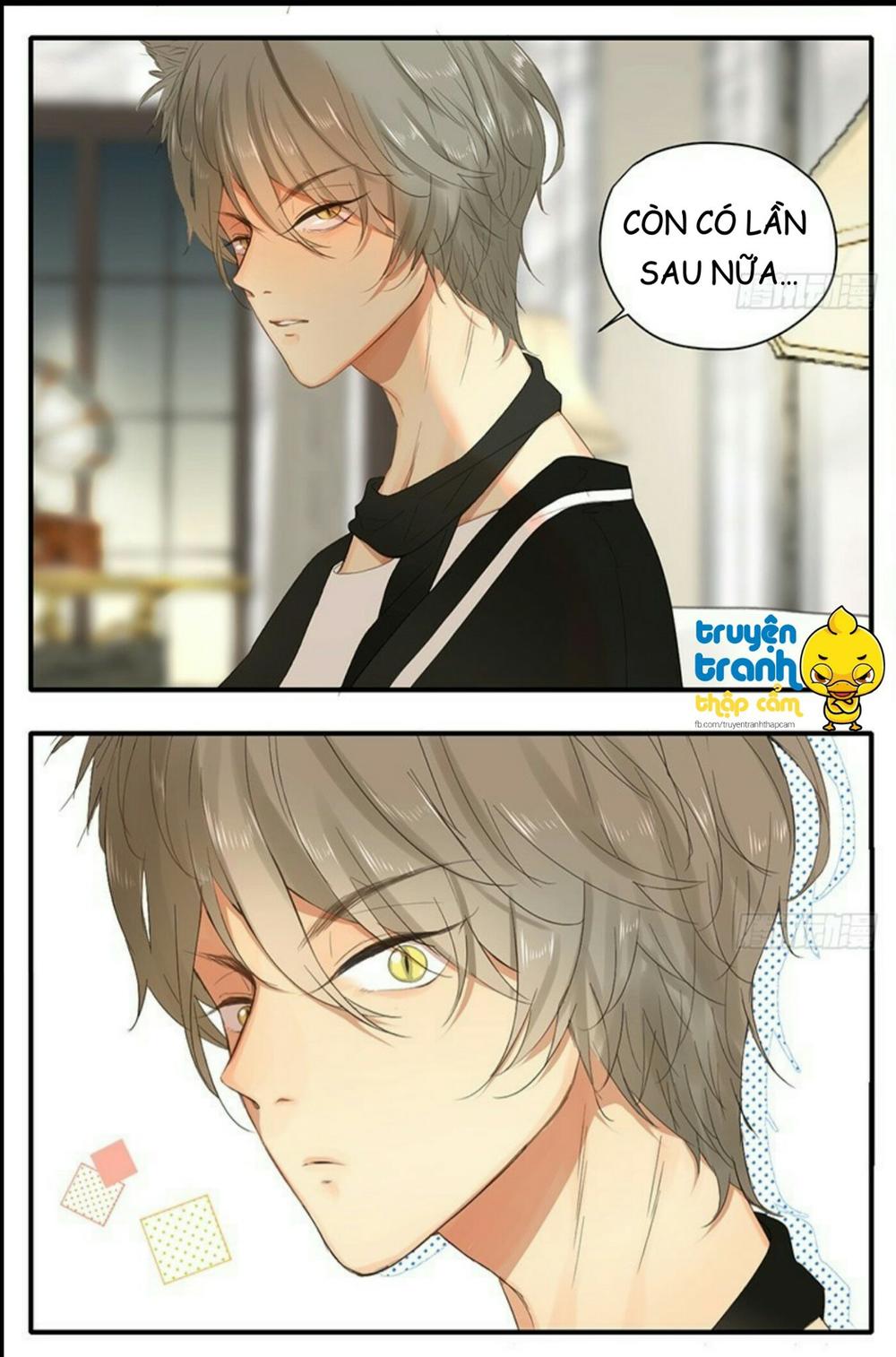 cứu mạng ! loài mèo thống trị thế giới rồi ! chapter 35 19