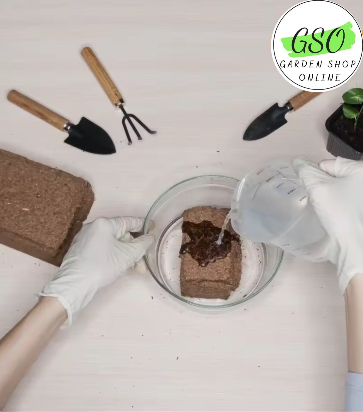 Viên nén xơ dừa trồng cây đã xử lý COCOHI! - FICOCO - Mùn dừa trồng cây viên nén