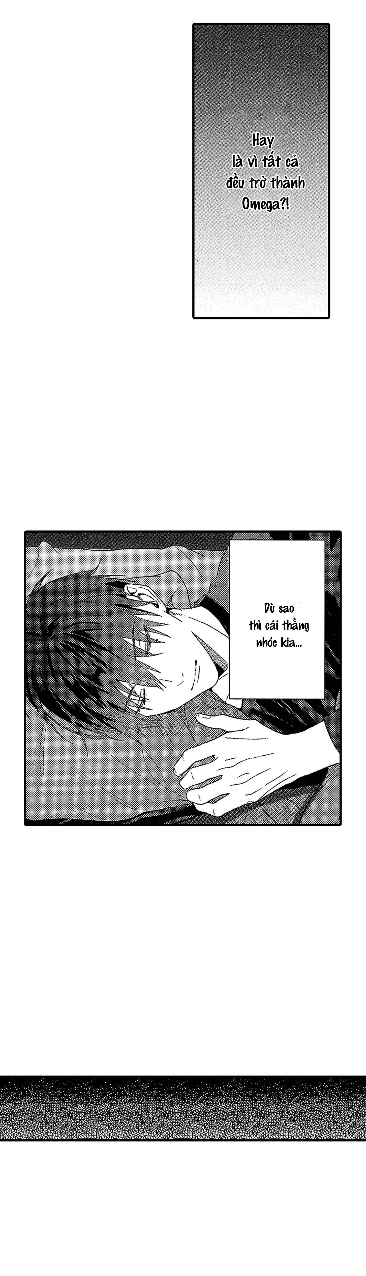 tái sinh thành một omega chapter 11 13