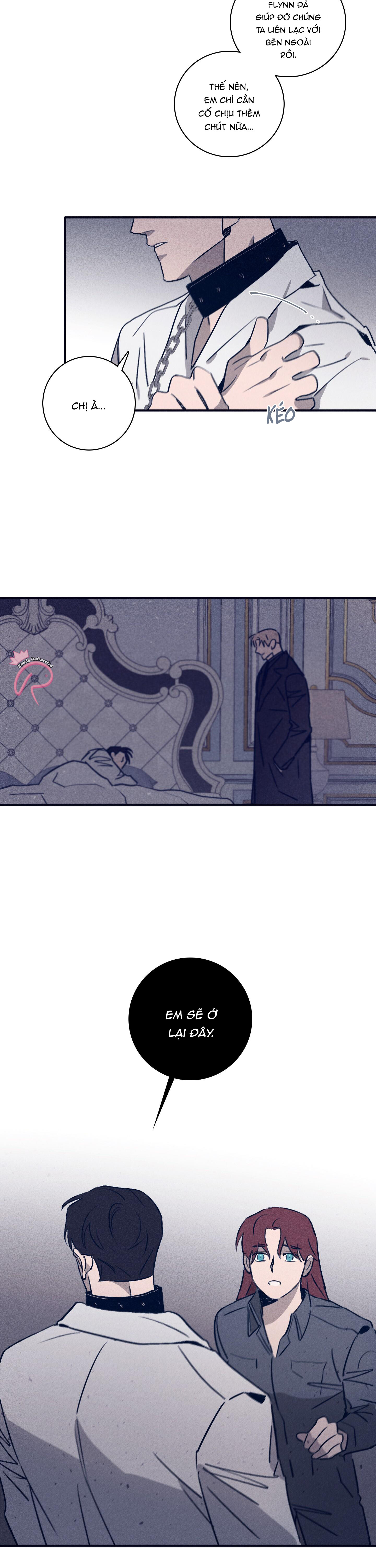 độc dược (marcel) chapter 51 3