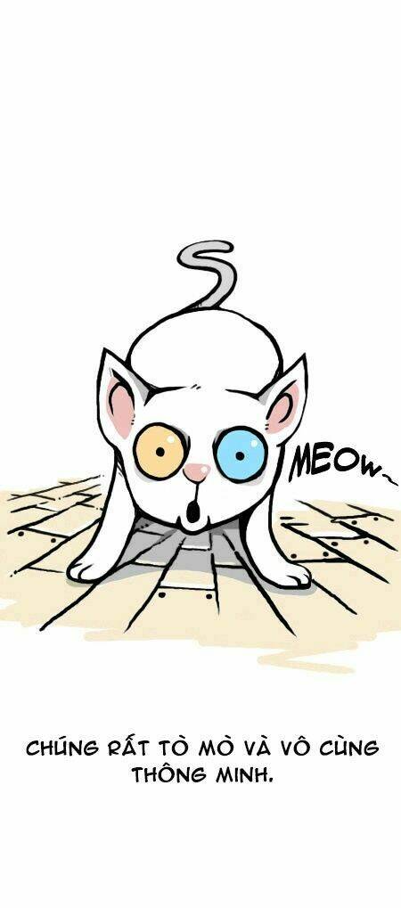 earth, human, and animal chapter 12 10