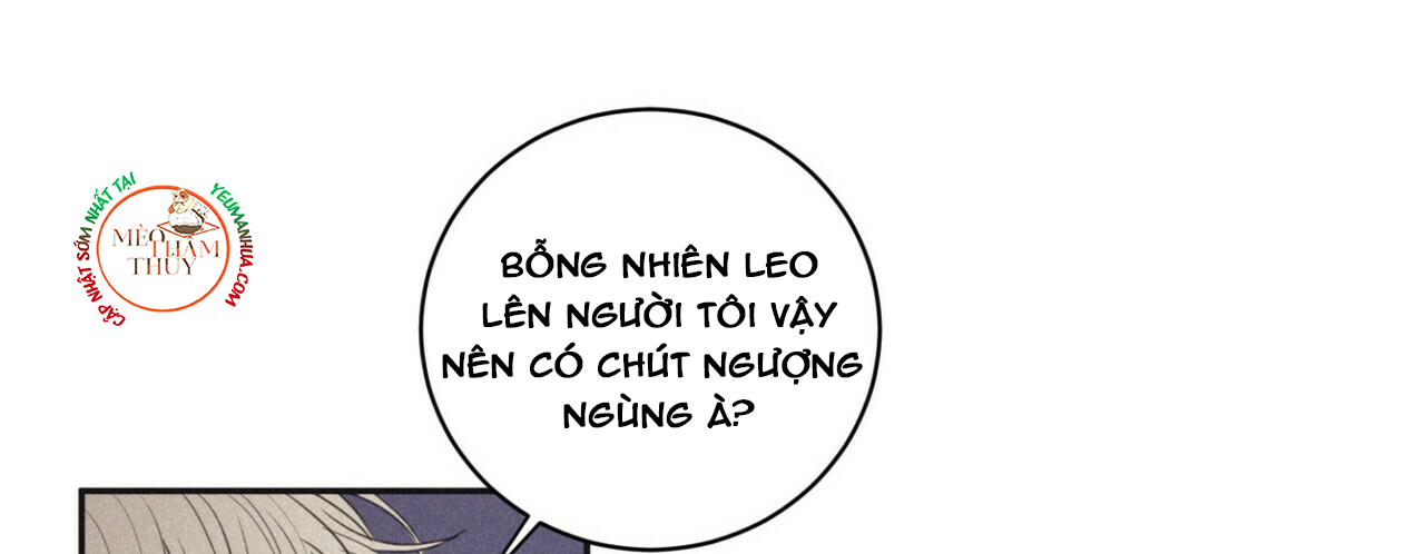 chiếu tướng chapter 44 48