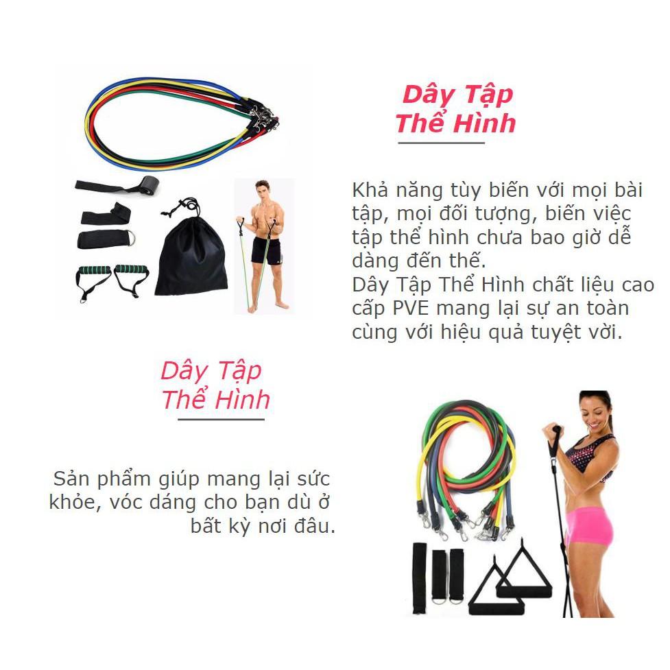 Dây Ngũ Sắc U-Powex USA Fitness - Home and Garden