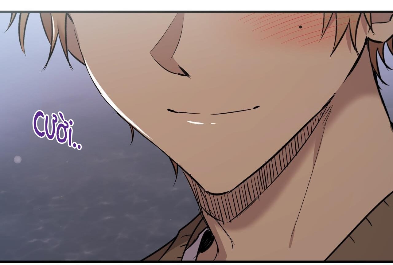 những chú thỏ của hapypy chapter 61 237