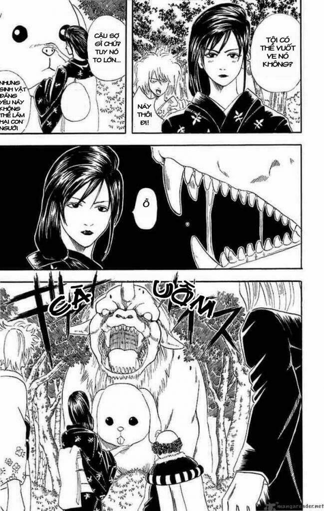 gintama - linh hồn bạc chapter 39 7