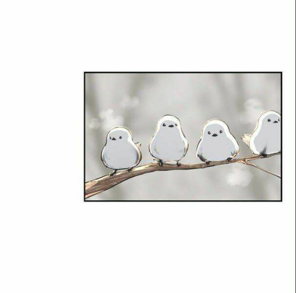 võ sĩ - the boxer chapter 104 7