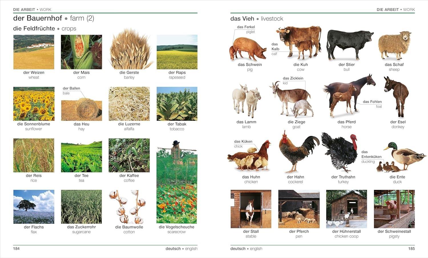 Sách ngoại văn: German English Bilingual Visual Dictionary