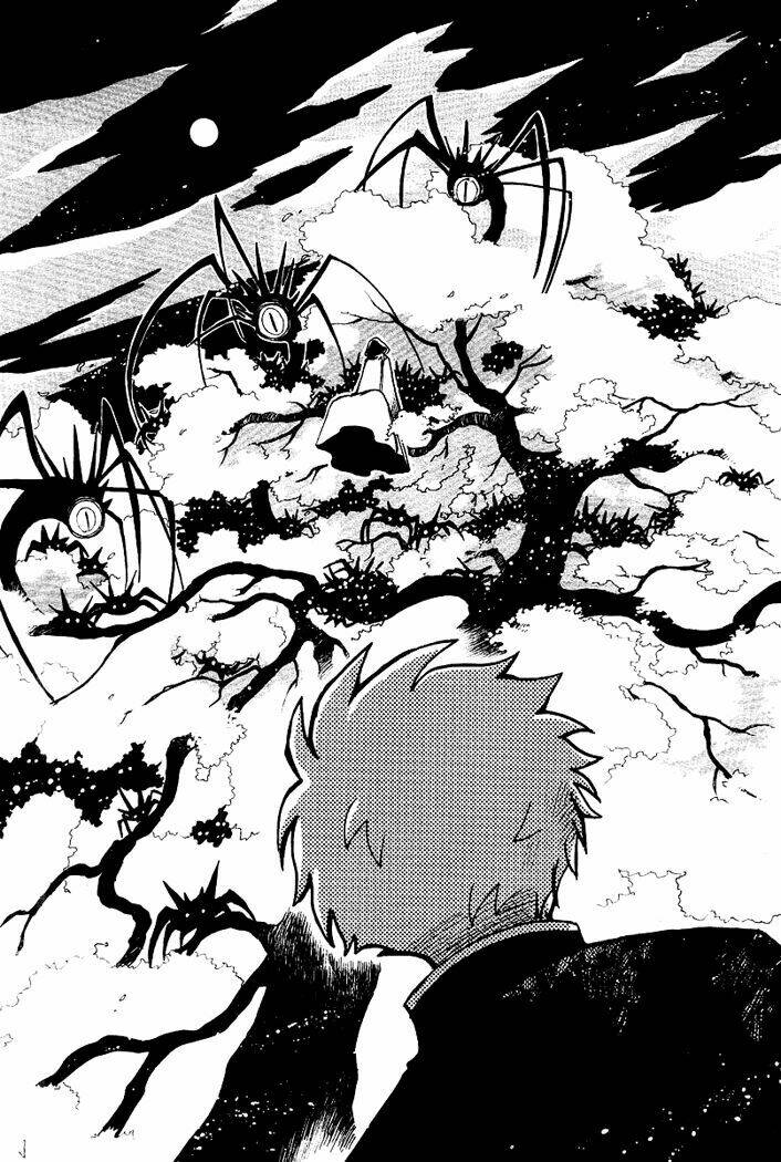 huyền thoại đôi cánh chapter 41 35