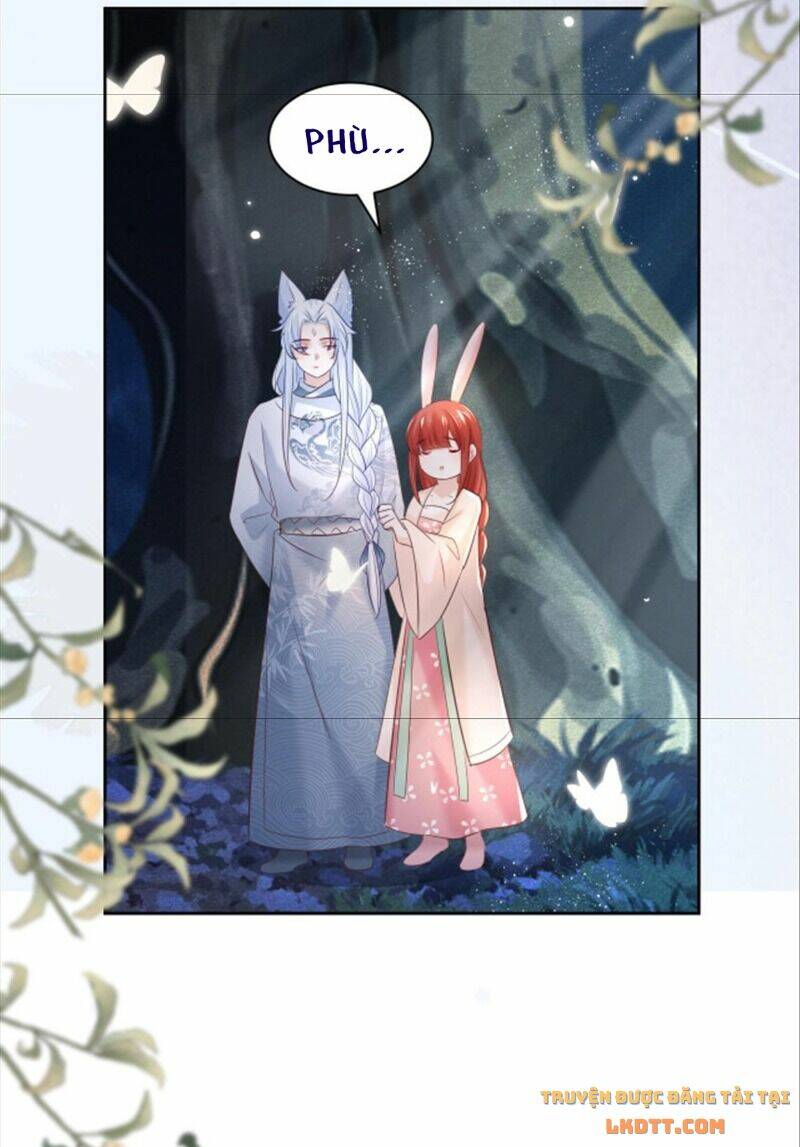 hắc hóa nam chính trực tuyến nuôi thỏ chapter 46 29