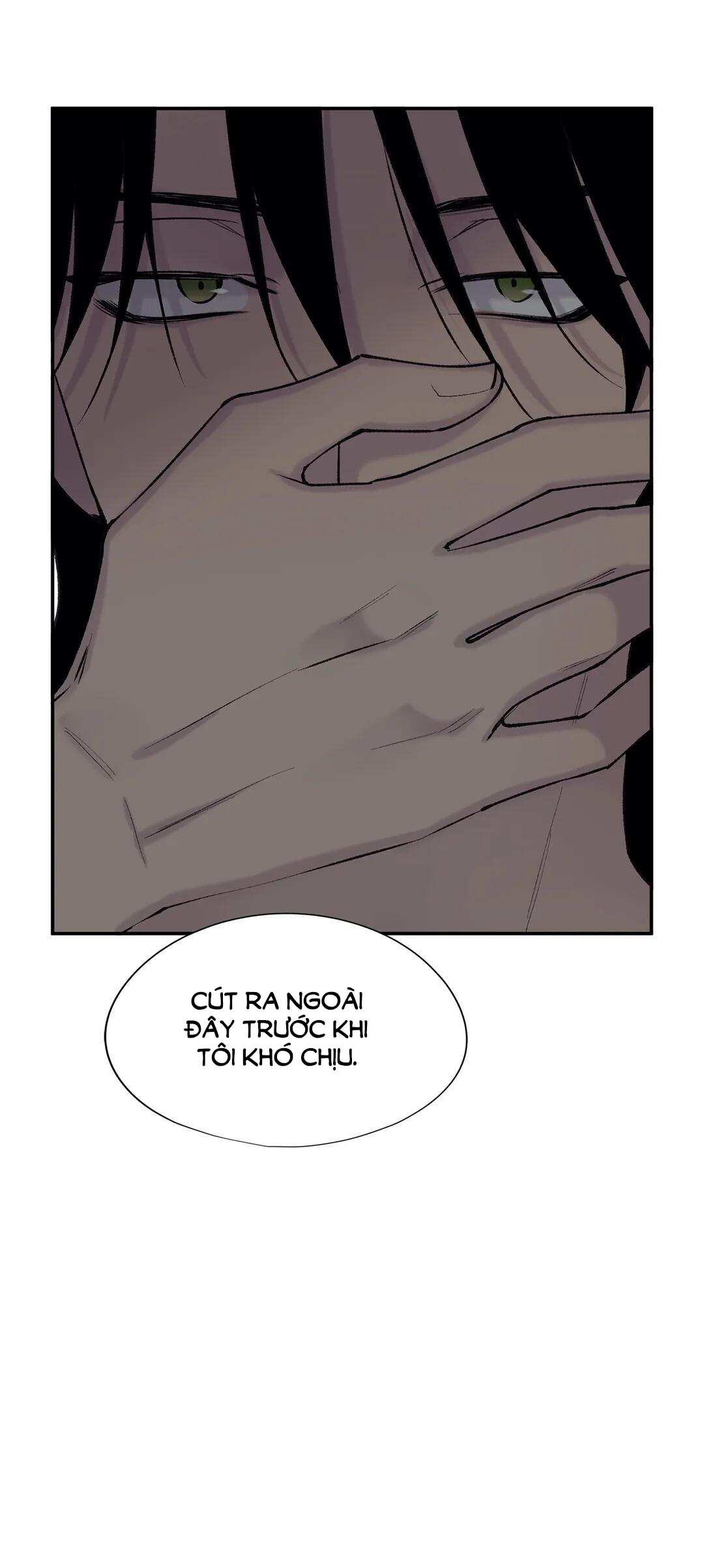 đừng viết nữa, tác giả thân mến! chapter 42 17