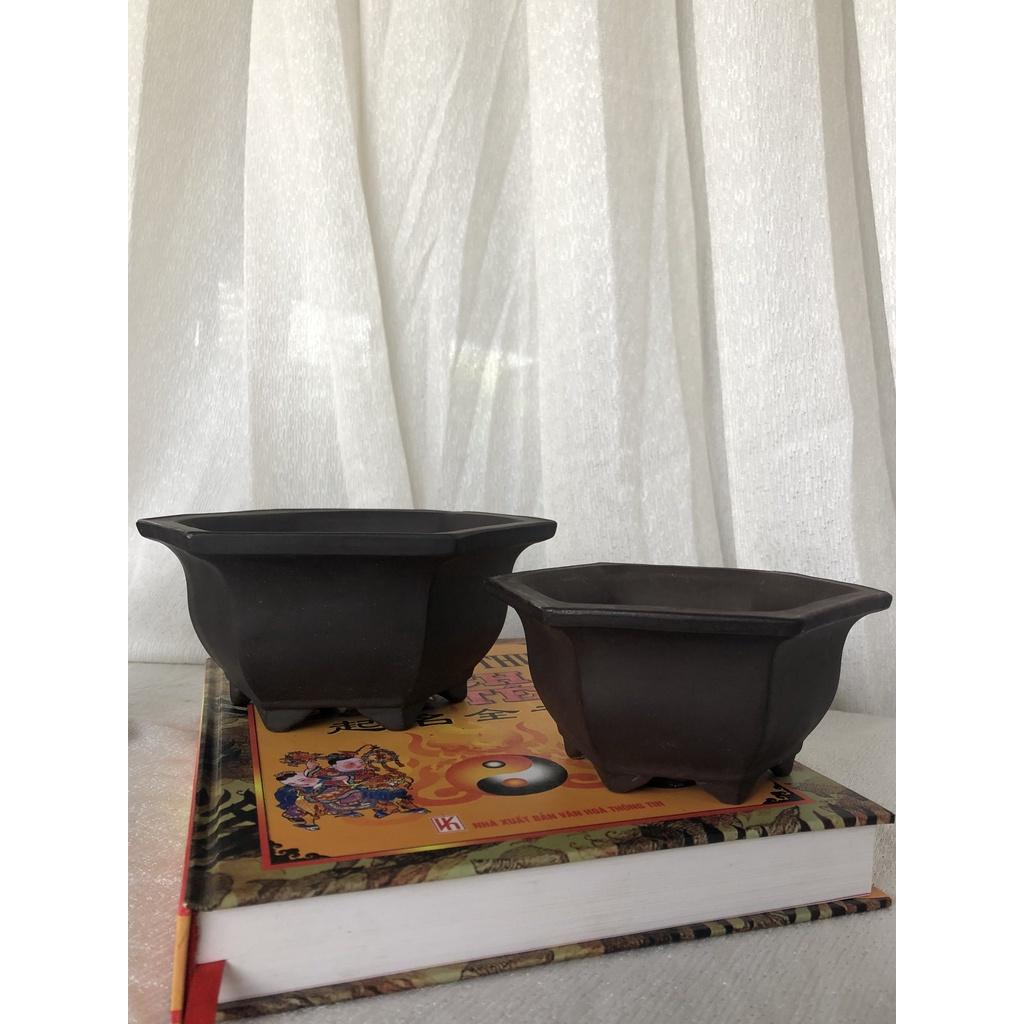 Bộ chậu lục giác mini CK8 với 2 kích cỡ nhỏ và lớn làm chậu bonsai mini, chậu cây hoa trang trí