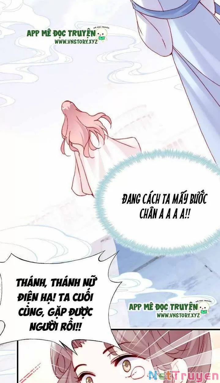 lại bị bệnh chiều chuộng quấn lấy chapter 9 9